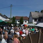 Stephanshausen DEMO Windwahn-20140719DSC08202.jpg